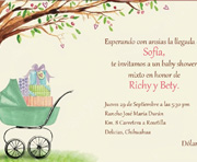 Babyshower invitation